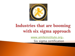 Industries that are booming with six sigma approach -