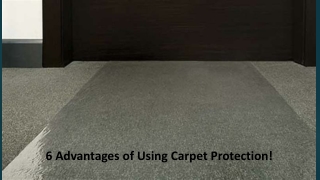 6 Advantages of Using Carpet Protection - ProTect Associates, INC