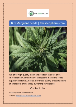 Buy Marijuana Seeds | Theseedpharm.com