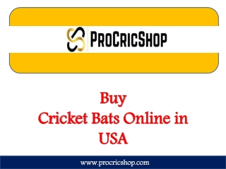 Buy Cheap Cricket Bats Online