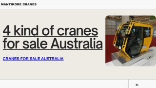 4 kind of cranes for sale Australia