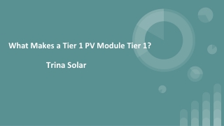 What Makes a Tier 1 PV Module Tier 1?