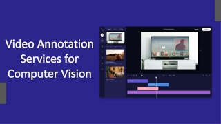 Video Annotation Services For Computer Vision-Damco Solutions