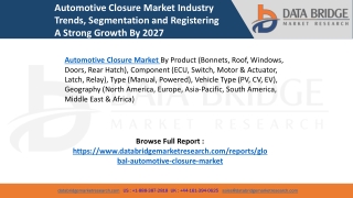 Automotive Closure Market