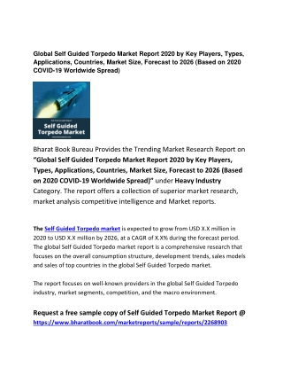 Global Self Guided Torpedo Market Forecast: 2026