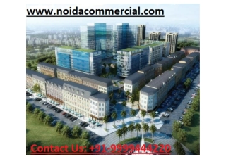 Property in Noida Extension