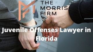 Juvenile Offenses Lawyer in Florida