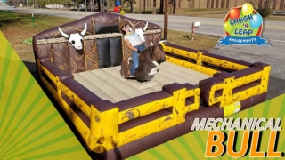 Mechanical Bull South Carolina - Rodeo Bull Rental Near Me