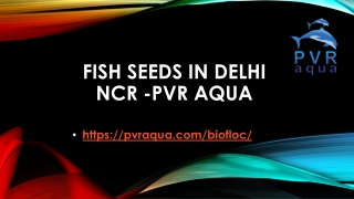 Fish Seeds in Delhi NCR -PVR AQUA