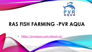 RAS Fish Farming -PVR AQUA