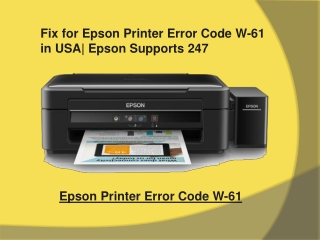 Fix for Epson Printer Error Code W-61 in USA| Epson Supports 247