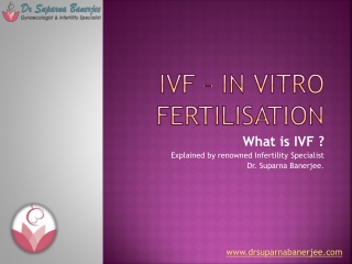 IVF – In Vitro Fertilisation