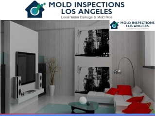 Mold Inspection And Testing