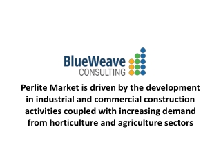 Global Perlite Market