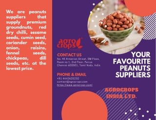 Your Favourite Peanuts Suppliers
