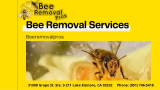 Bee Removal Services | Beeremovalpros