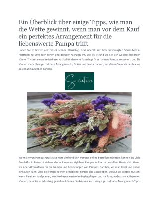 Kaufen Sie Miscanthus Gras Online mit natürlicher Farbe und starkem Rabatt