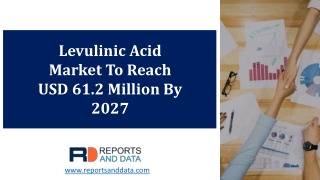 Levulinic Acid Market Strategy And Product Research Report 2020