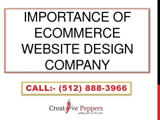 Importance of Ecommerce Website Design Company