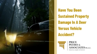 Have You Been Sustained Property Damage In A Deer Versus Vehicle Accident?
