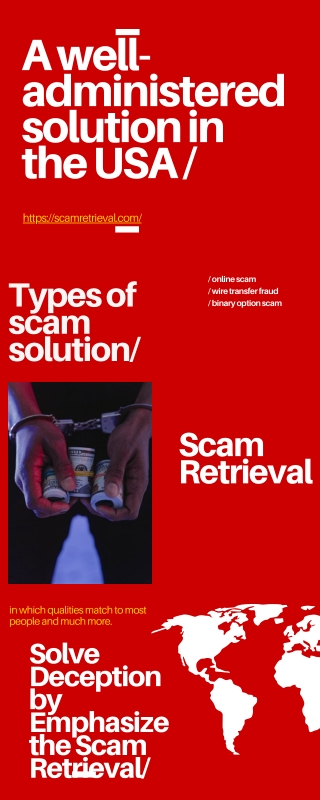 A well-administered solution in the USA by Scam Retrieval