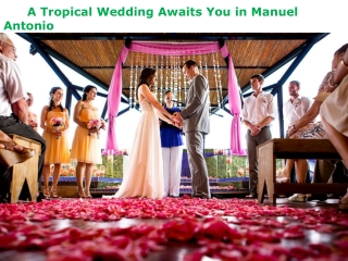 A Tropical Wedding Awaits You in Manuel Antonio