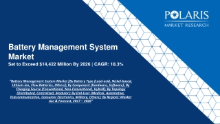 Battery Management System Market Strategies and Forecasts, 2020 to 2026