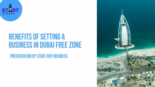 Benefits Of Setting A Business In Dubai Free Zone