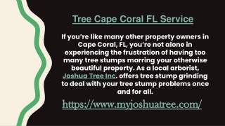 Tree Service Cape Coral FL