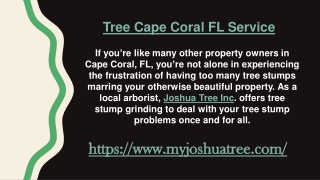 Tree Service Cape Coral FL