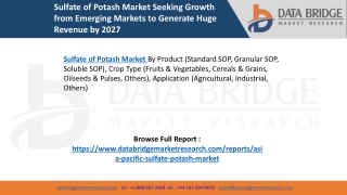 Sulfate of Potash Market