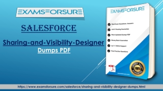 Updated Sharing-and-Visibility-Designer Exam Certifications dumps