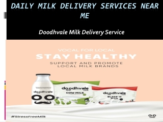 Daily Milk delivery Services near me in Delhi NCR