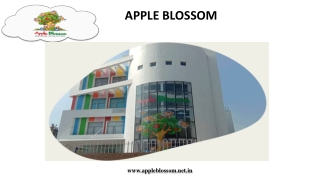 Apple Blossom