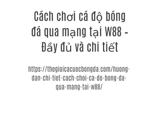 Cách chơi cá độ bóng đá qua mạng tại W88 – Đầy đủ và chi tiết