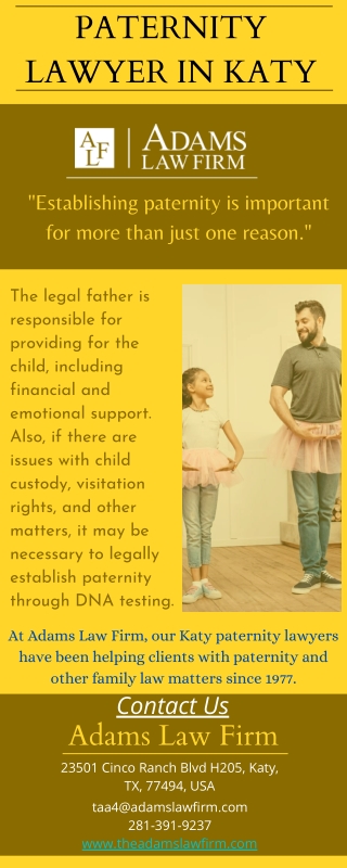 Paternity Attorney In Katy