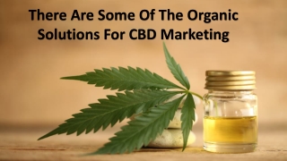 There Are Some Of The Organic Solutions For CBD Marketing