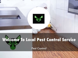 Detail Presentation About Local Pest Control Service