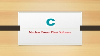 What is Nuclear Power Plant Software?