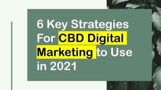 6 Key Strategies For CBD Digital Marketing to Use in 2021