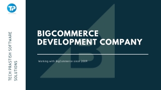 Hire Dedicated Bigcommerce Developer in USA