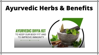 Ayurvedic Herbs & Benefits