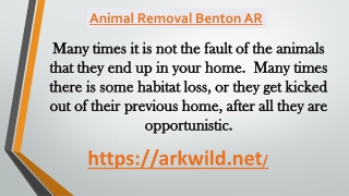 Animal Removal Benton AR