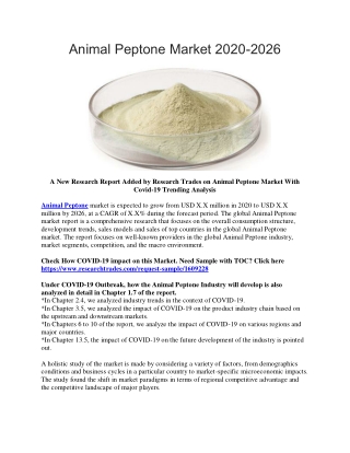 Animal Peptone Market 2020-2026