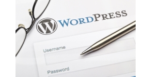 Best WordPress Hosting For Beginners