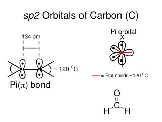 sp2 Orbitals of Carbon (C)