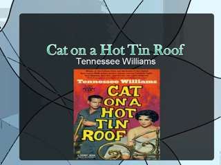 Cat on a Hot Tin Roof