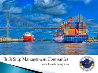 Bulk ship management companies