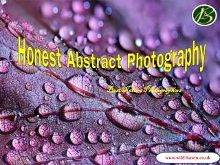 Honest Abstract Photography