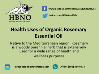 Organic Rosemary Rosmarinus Officinalis Oil at Essential Natural Oils